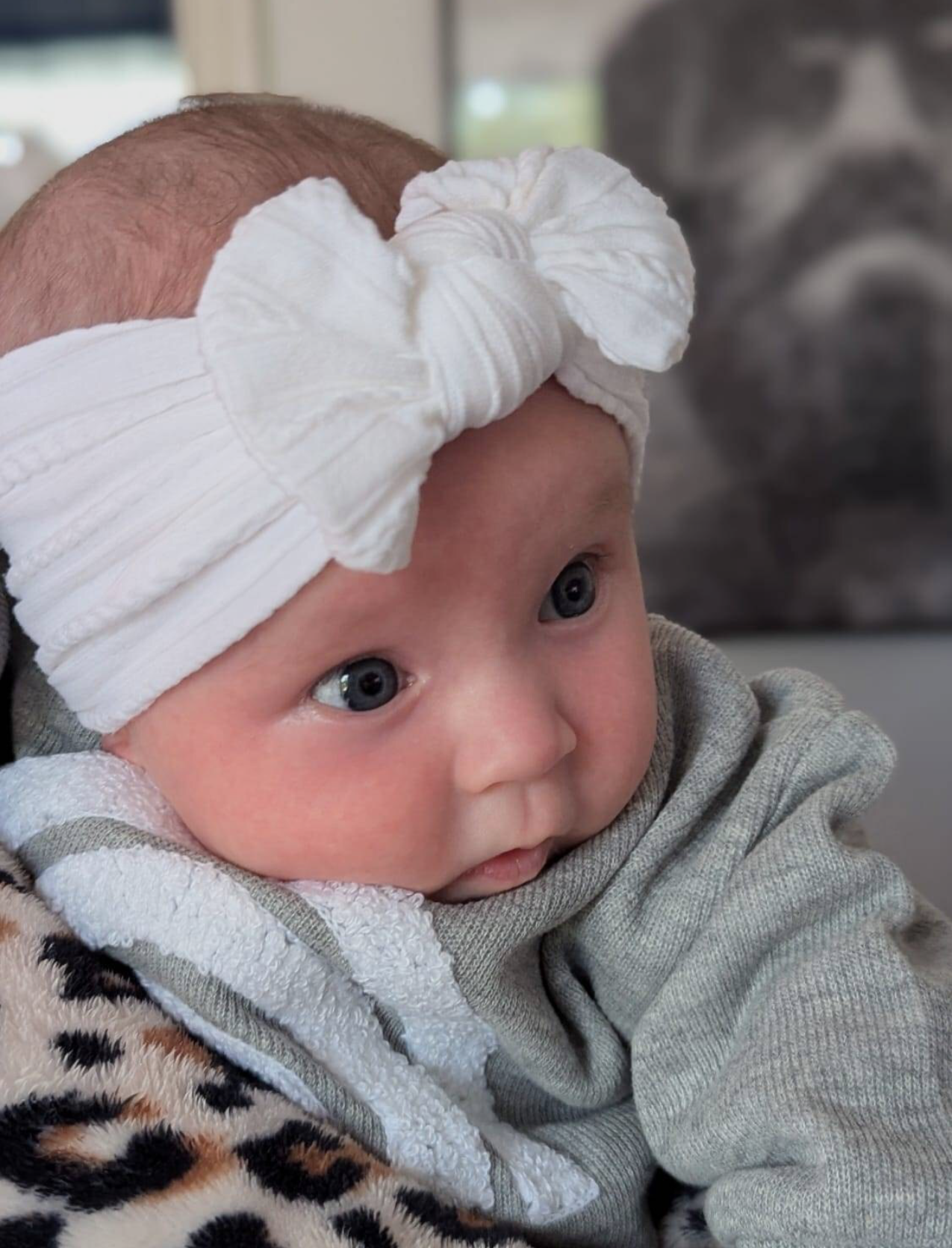 Cintillo Almendra blanco